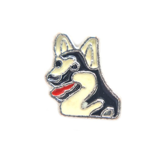 Alsatian charm