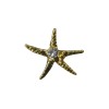 Golden starfish charm