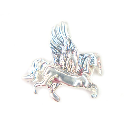 Pegasus charm