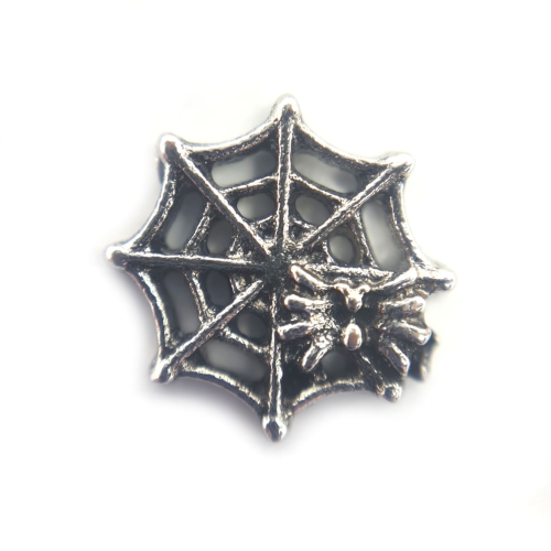 Spiderweb Charm