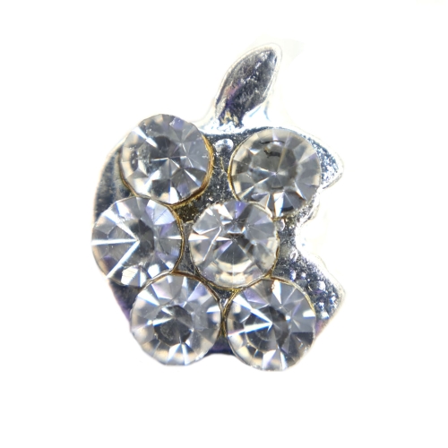 Crystal Apple Charm
