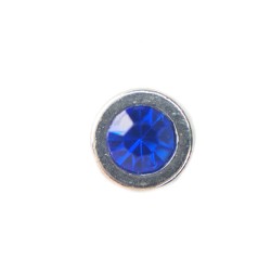 Sapphire inset gem