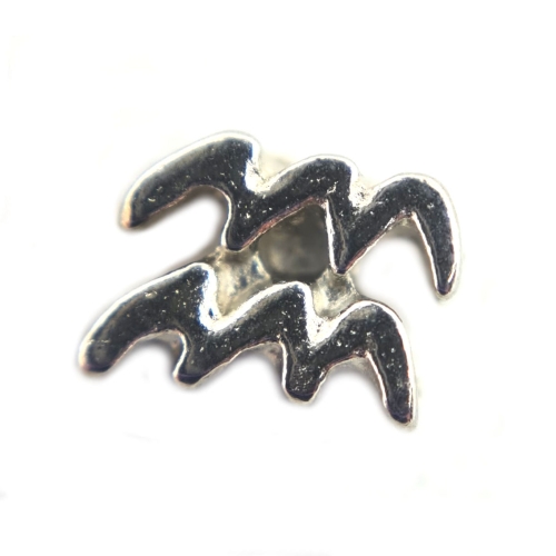 Aquarius Zodiac Charm