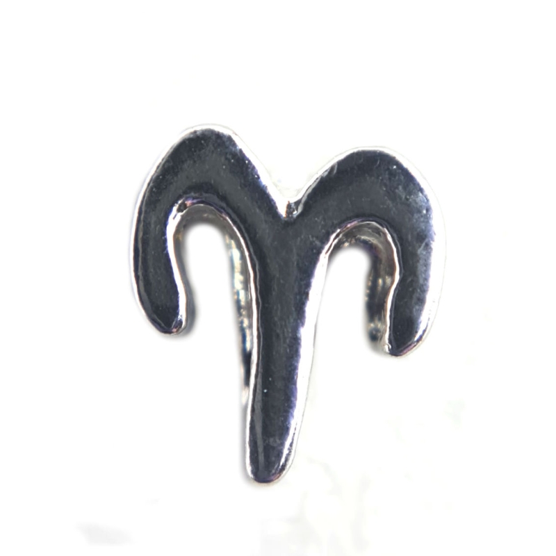 Aries Zodiac Charm Aries Zodiac Charm