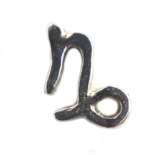 Capricorn Zodiac Charm