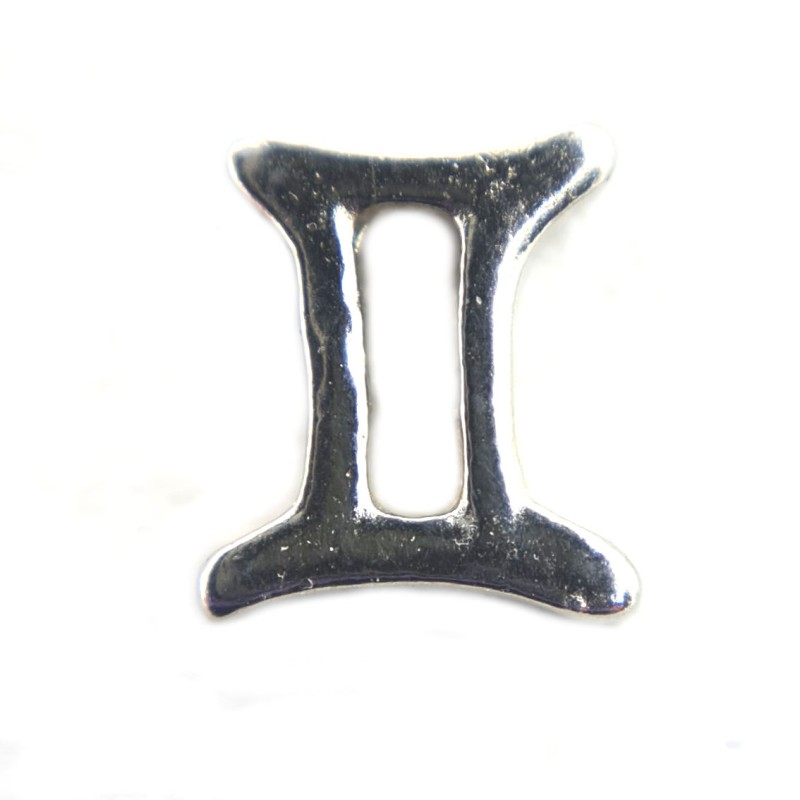 Gemini zodiac charm Gemini zodiac charm