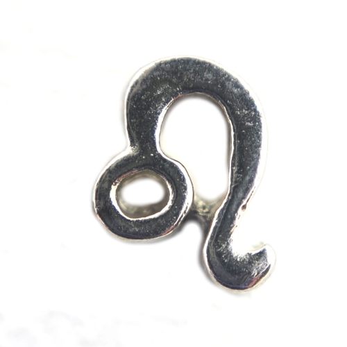 Leo Zodiac Charm Leo Zodiac Charm