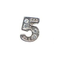 5 Number Charm
