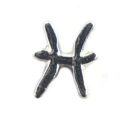 Pisces zodiac charm