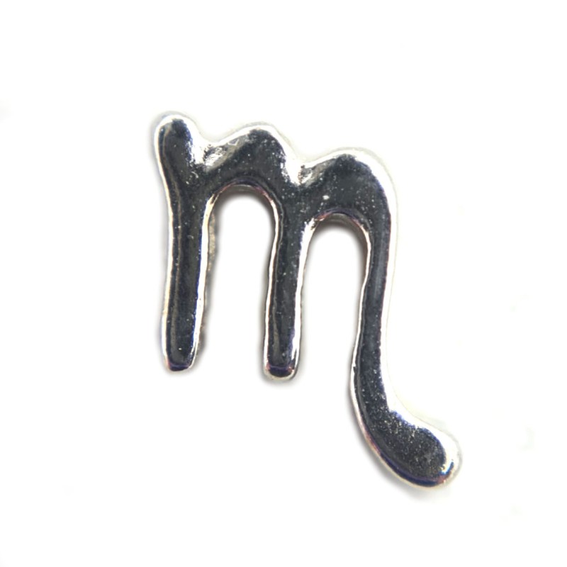 Scorpio zodiac charm Scorpio zodiac charm