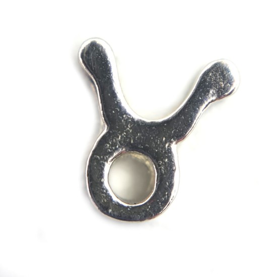 Taurus zodiac charm