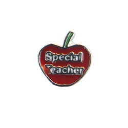 Special teacher charm