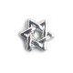 Star of David charm