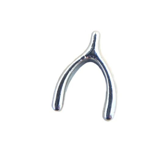 Wishbone charm