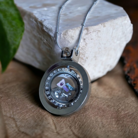 Movable insert locket