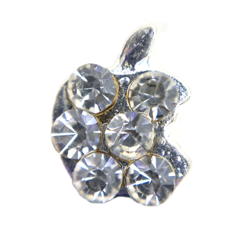 Crystal Apple Charm