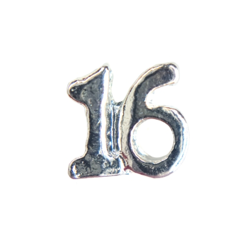 Age 16 Silver Charm Age 16 Silver Charm