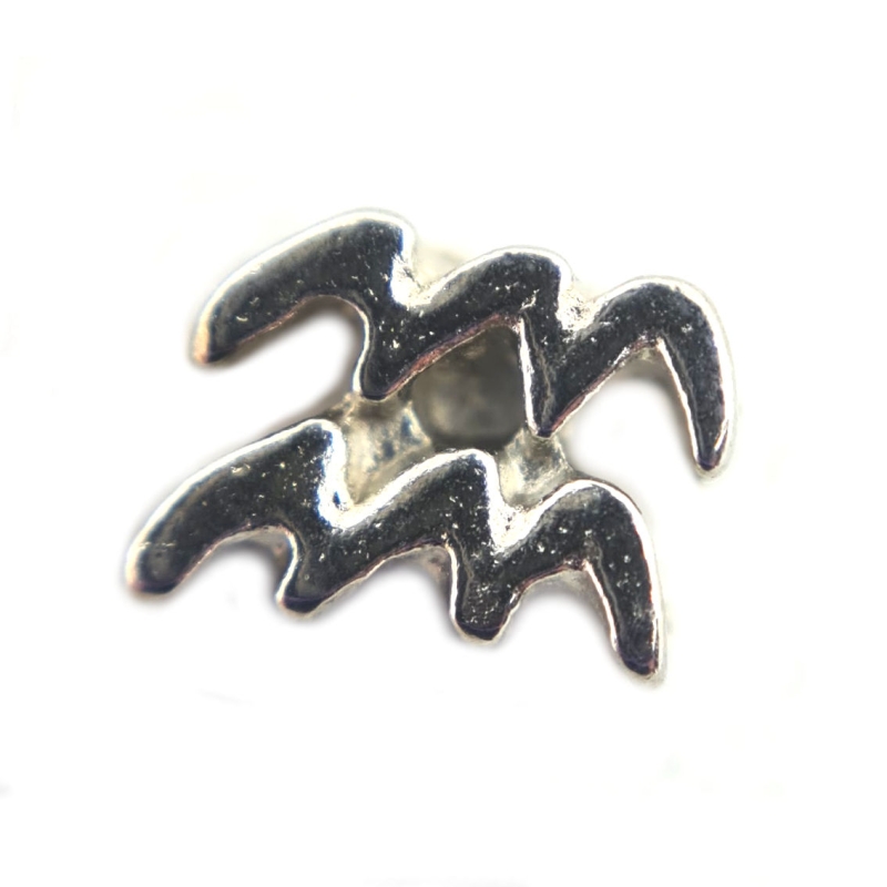 Aquarius Zodiac Charm
