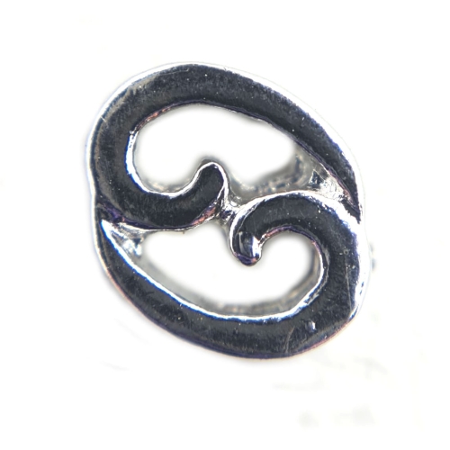 Cancer Zodiac Charm Cancer Zodiac Charm