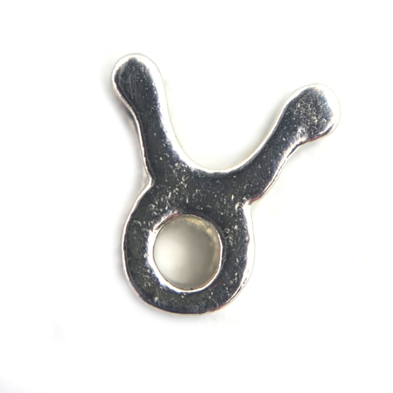 Taurus Zodiac Charm