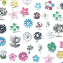 Memory Locket Charms